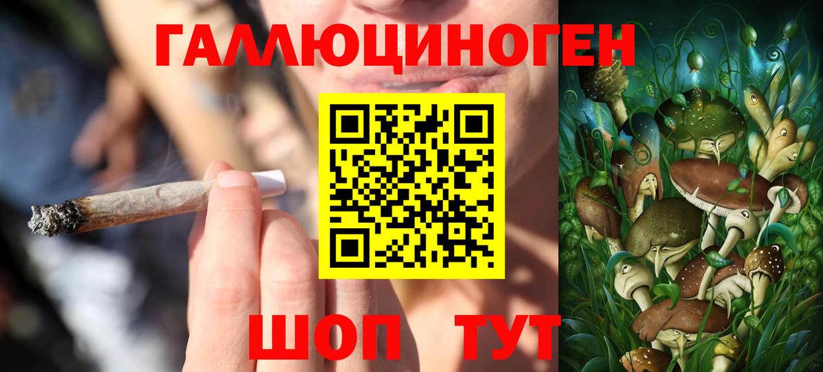 Галлюциногенные грибы ЛСД  Вход с VPN  Новоуральск  Псилоцибиновые грибы прущие грибы 