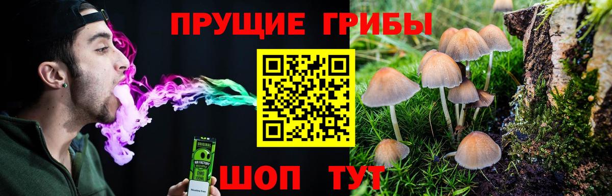 Галлюциногенные грибы мицелий Новоуральск